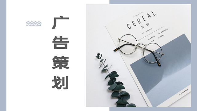 广告策划书案例分享