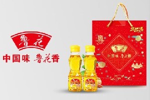 鲁花品牌营销咨询